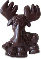 chocolate moose
