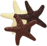 chocolate starfish